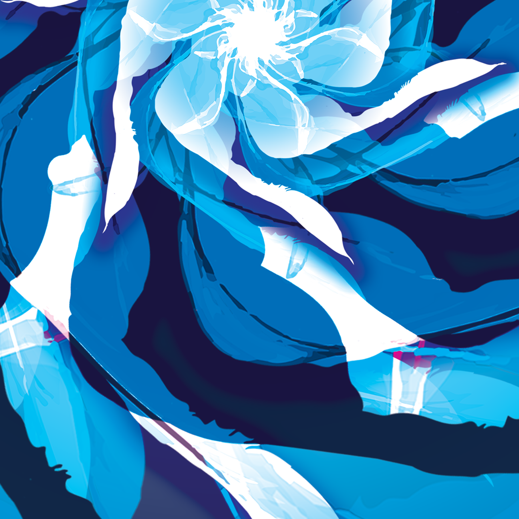 <tc>Wind flower / indigo</tc>